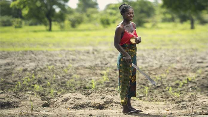 kalahari melon seed oil kalahari melon woman cooperative