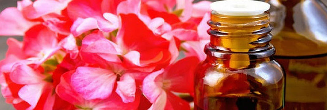 article why argan good acne Image essential oil bottle