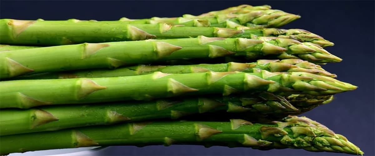 Asparagus Salad With an Argan Oil Dressing Recipe Asparagus Salad With an Argan Oil Dressing Recipe
