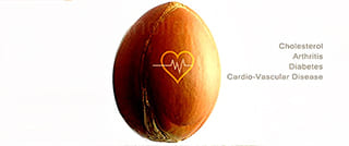 image link article about lowering cholesterol with argan oil