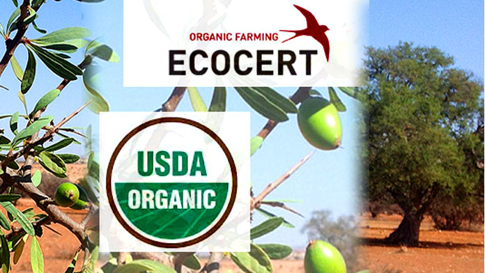 Organic Argan Oil Certification by Ecocert and USDA image of USDA and ECOCERT Organic Certification Bodies Logos