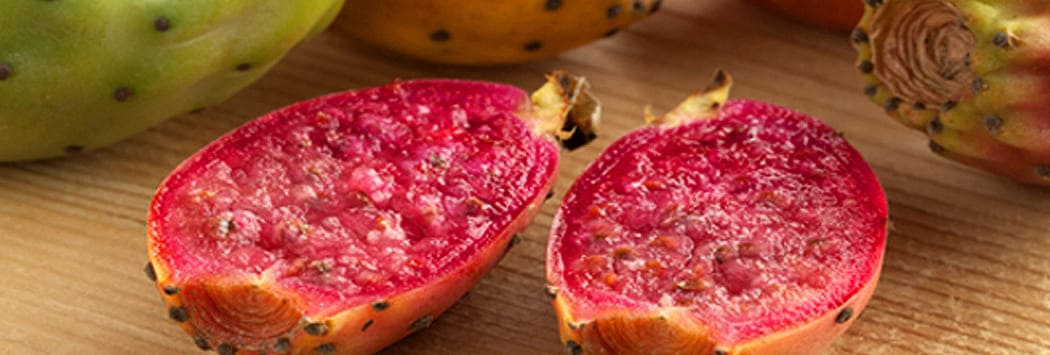 prickly pear cactus fruit seeds image prickly pear cactus fruit seeds