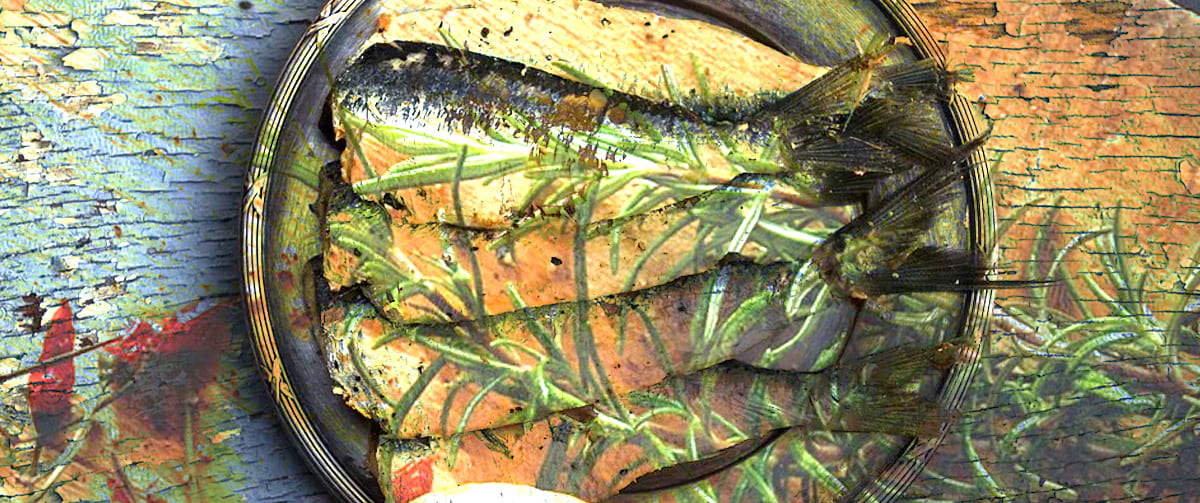 Grilled Sardines with Culinary Argan Oil image copyright tesco real food 2016 reproduced with kind permission sardines Argan Oil recipe